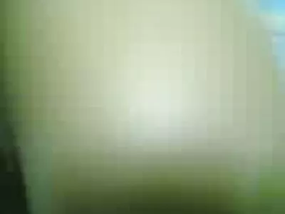 ლესბოსელები შეადგინოს